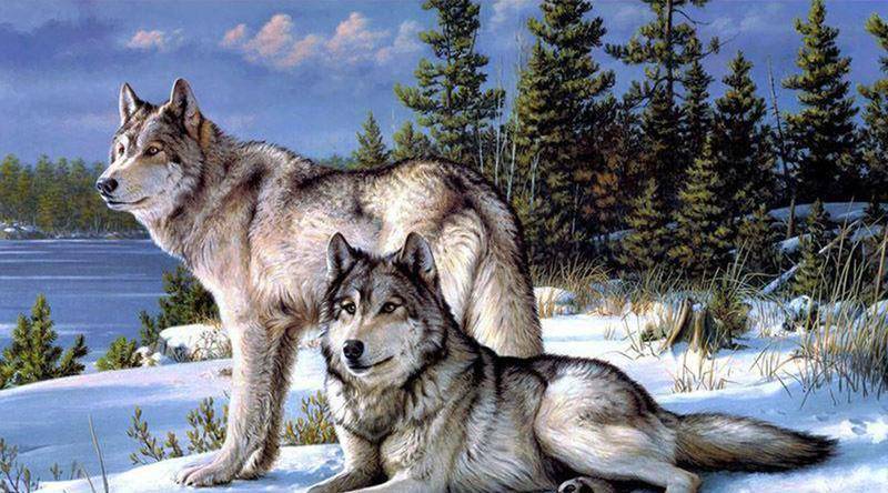 威廉希尔中文站-北部独狼变狼群，唐斯驪登进击不敌工