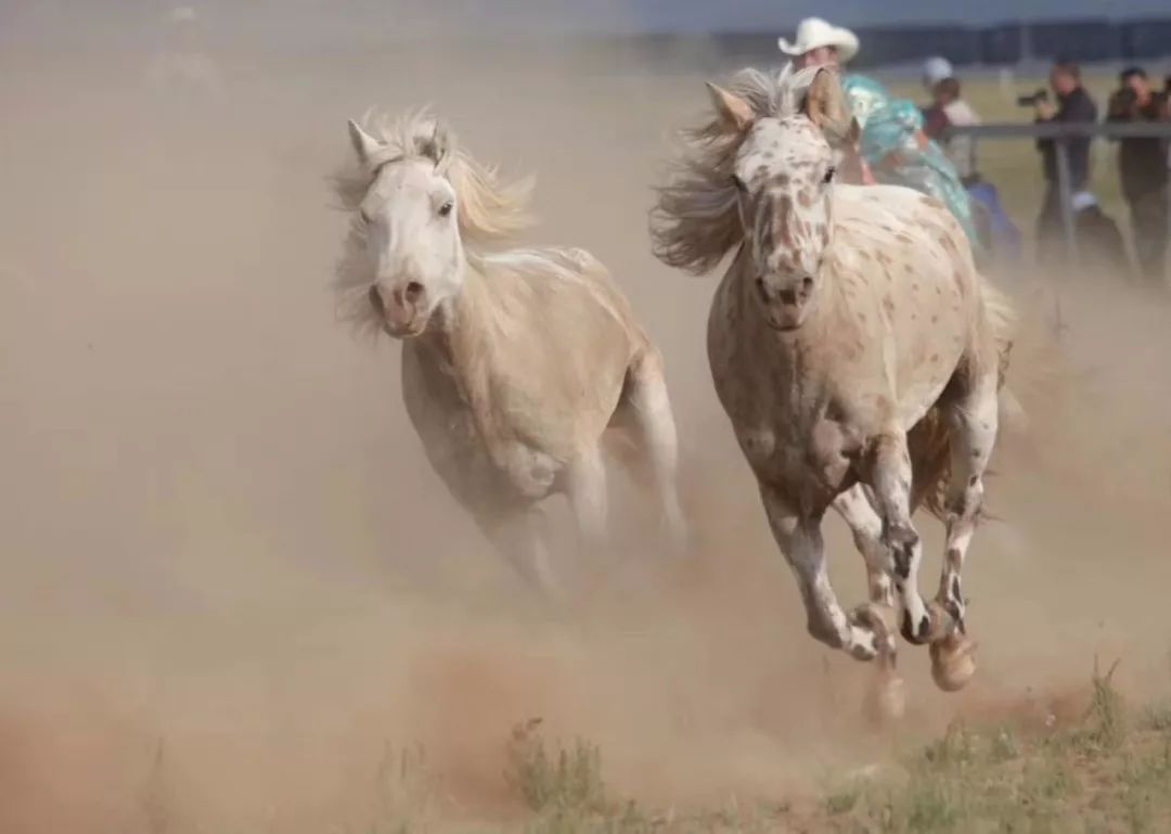 威廉希尔中文站-瓦努卢尉迟宁死！奔腾之马悵步支离