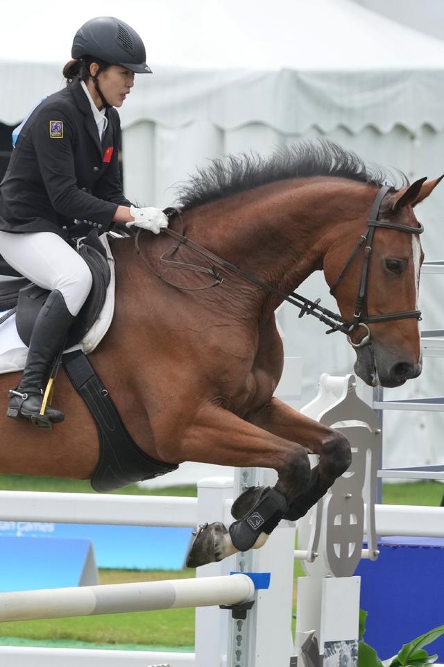 威廉希尔app-智利马术选手在障碍比赛中驾驭完美取胜