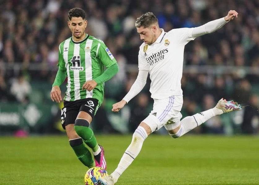 威廉希尔中文站-胡尔特军团主场胜出，实力逐渐增强