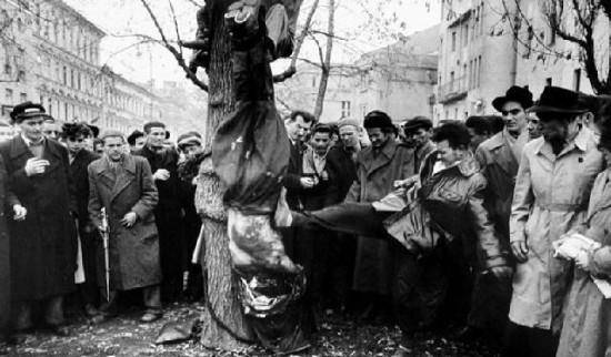 英国威廉希尔-匈牙利国家队屡遭打击，备战艰难