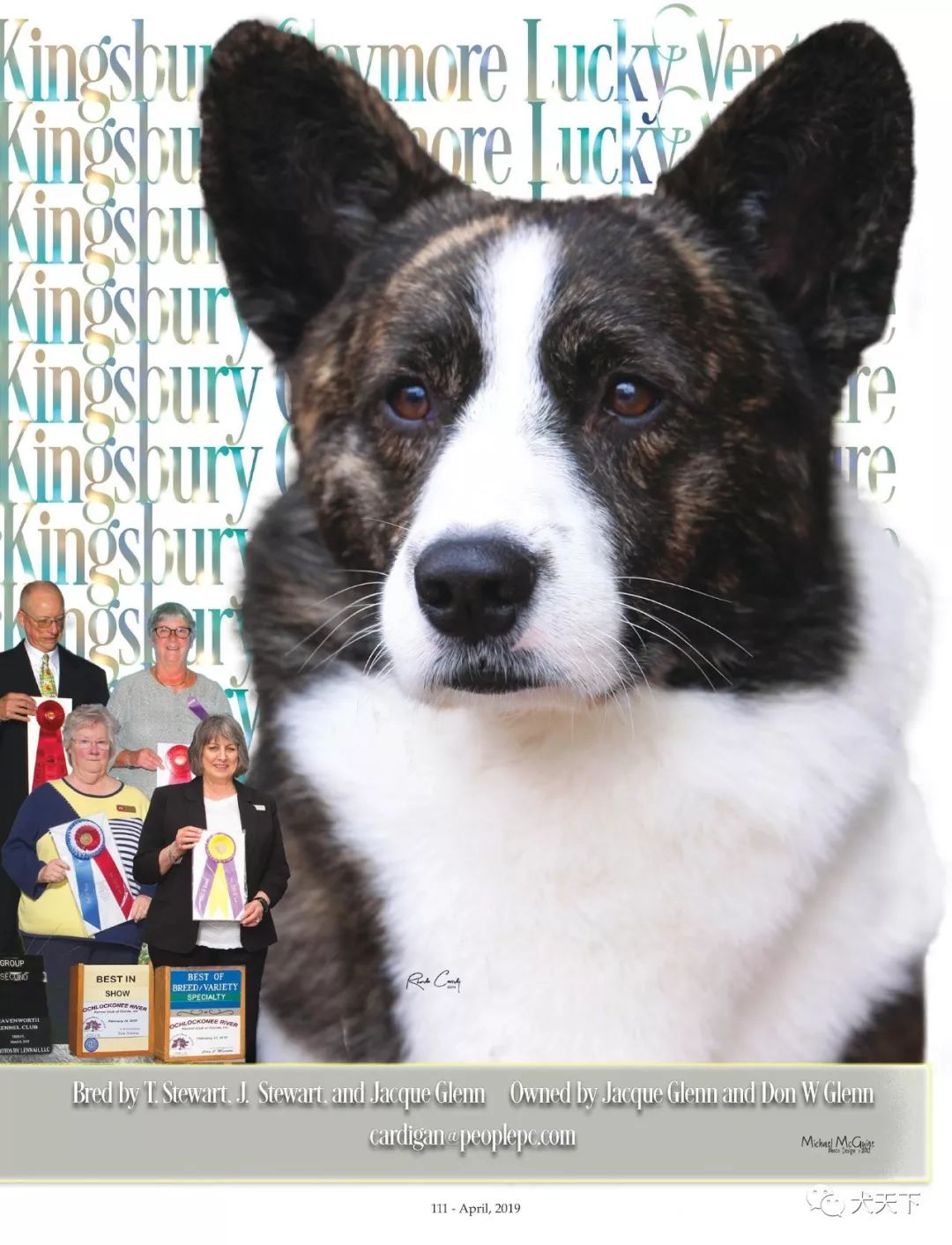 威廉希尔中文站-威尔士选手表现亮眼，法国队实力不俗女子越野滑雪预赛