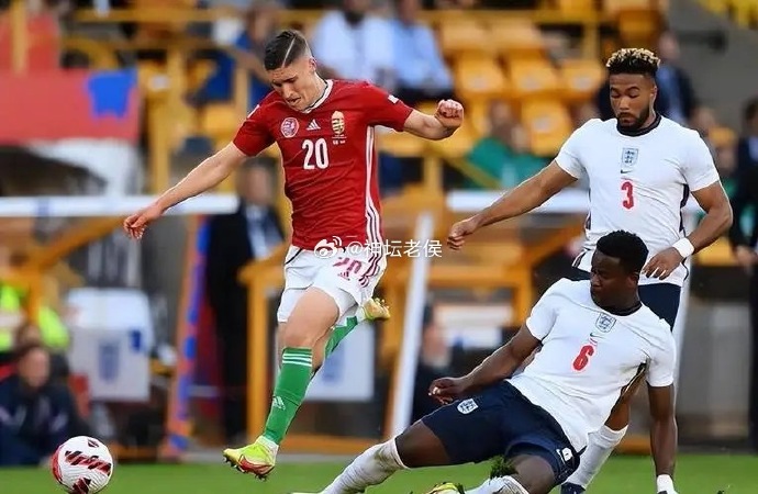 英国威廉希尔-格鲁吉亚队备战备受关注，教练团队信心十足