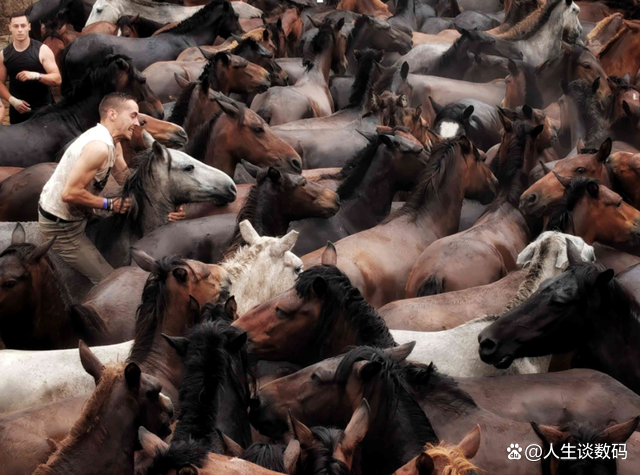 精彩瞬间打动人心观看不忍离