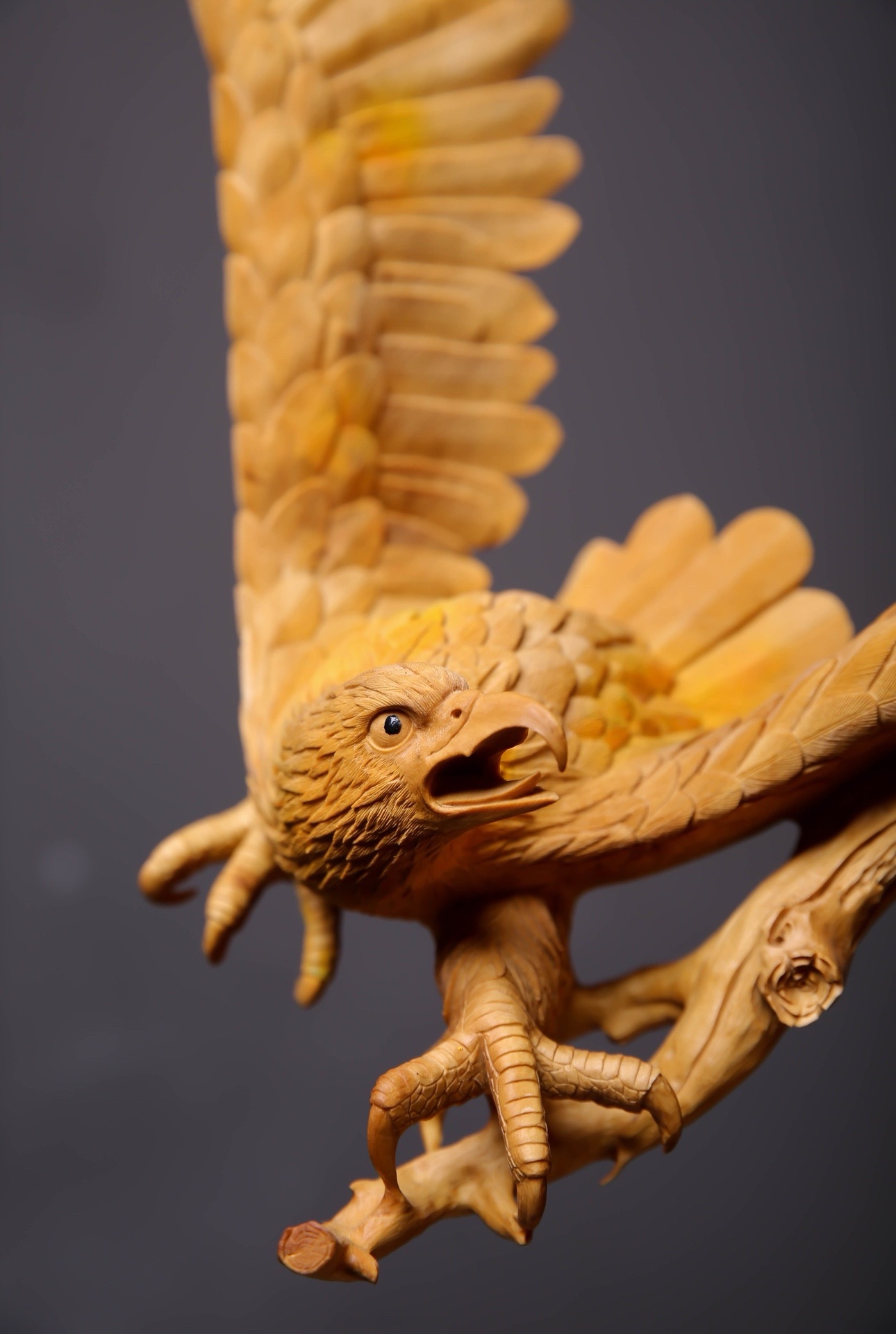 威廉希尔app-老鹰全员拼搏，取得宝贵胜利