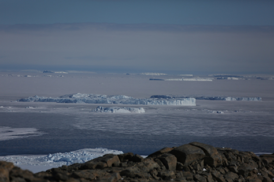 英国威廉希尔-南极一支守冠军之冠，风头无两