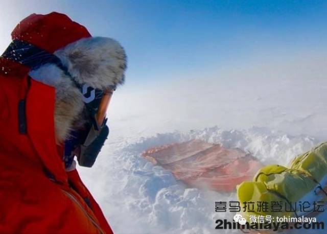 南极一支守冠军之冠，风头无两