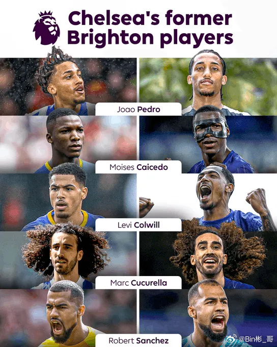 英国威廉希尔-切尔西主场击败布莱顿,保持领跑优势 英国威廉希尔-切尔西主场击败布莱顿,保持领跑优势