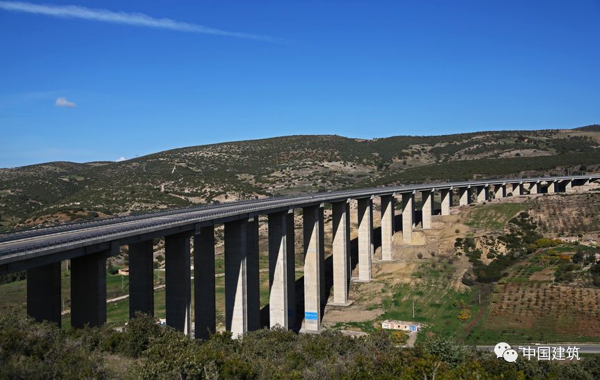 阿尔及利亚队全员备战,冲击下一关胜利 阿尔及利亚队全员备战,冲击下一关胜利