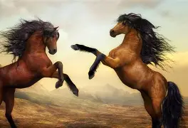 马鲁设森斯欲倒柯马汉，同俱手推更